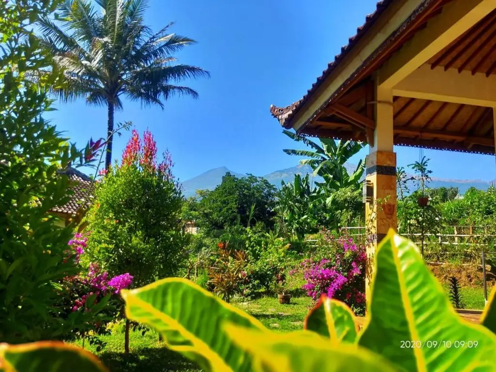Сенару: Bale Sebaya Bungalows