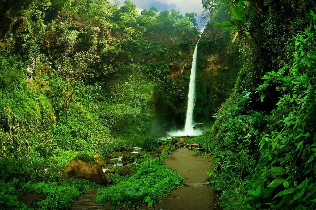 Надисари: Gunung Tabor Outbond