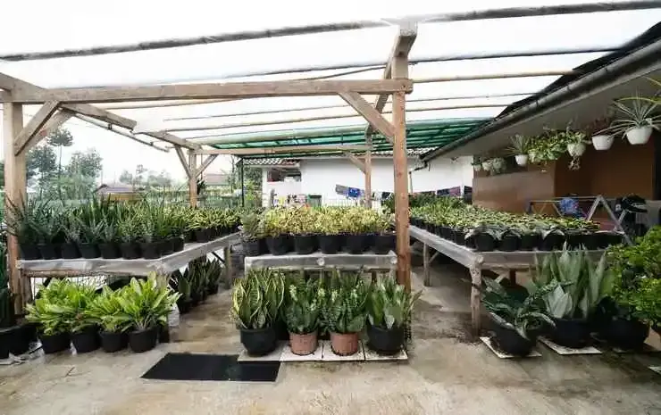 Лембанг: OYO 91006 Eco Tourism Desa Cibodas Areng 5 Syariah