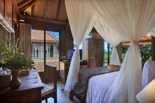 Паянган: Pawana Villas