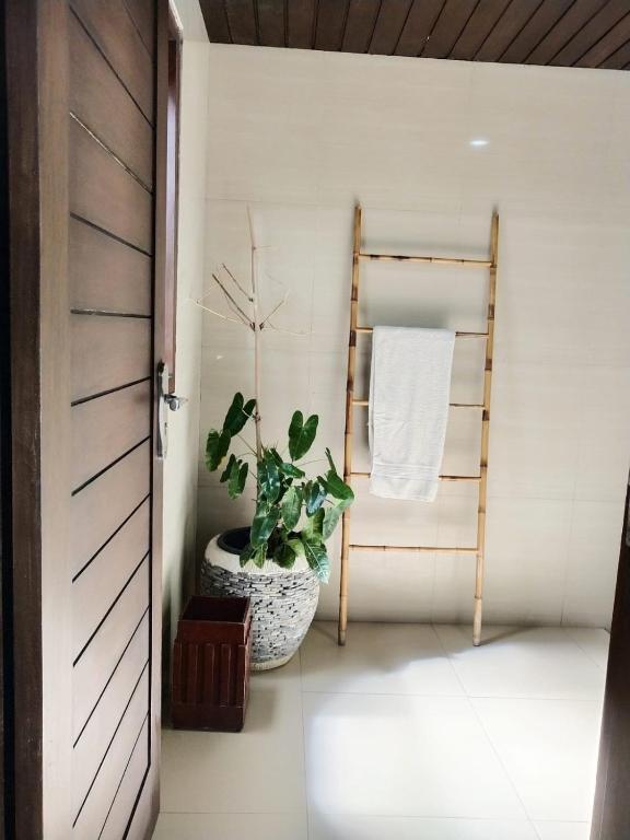 Керобокан: VILLA JAZBA Canggu