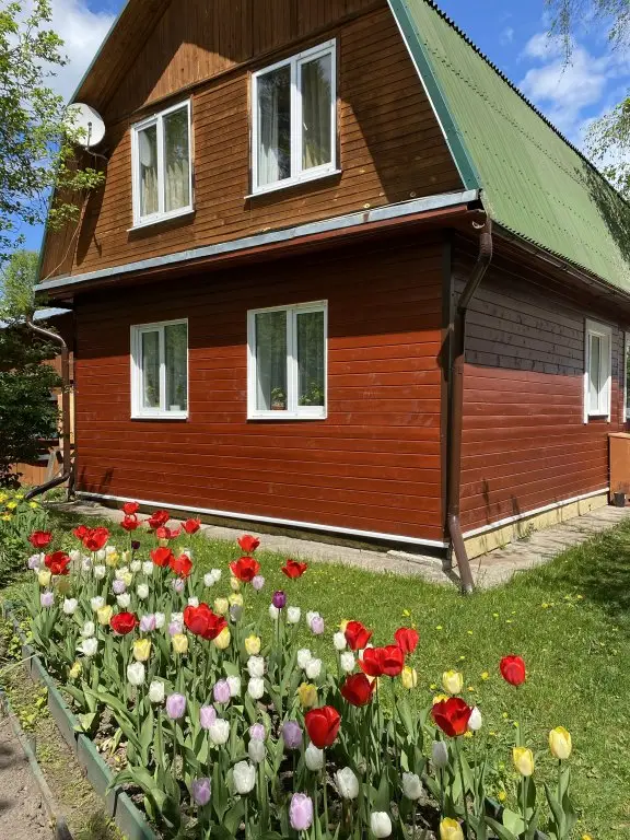 Заречье: Дом Лукоморье