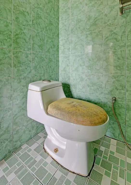 Пангандаран: OYO 91877 Mushroom Pondok Ator Syariah Hotel