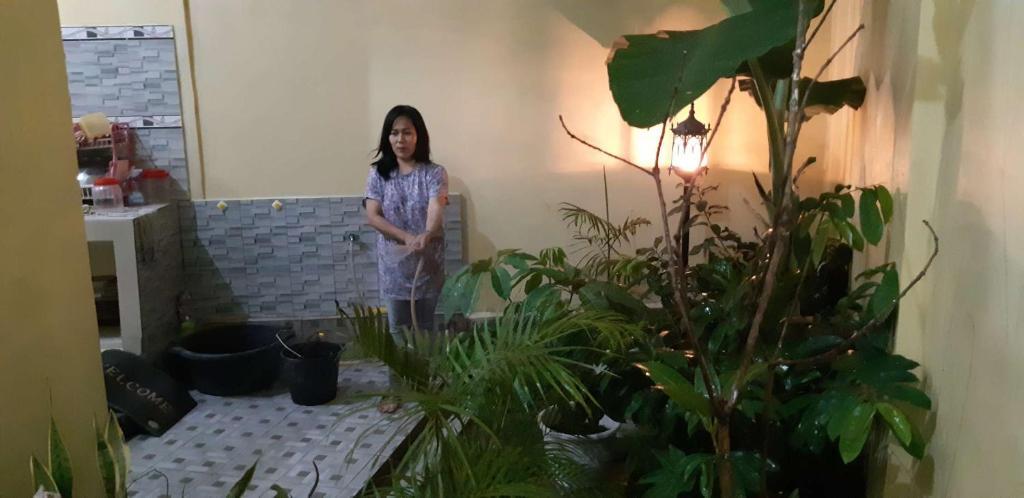 Рантепао: Darra Homestay Toraja