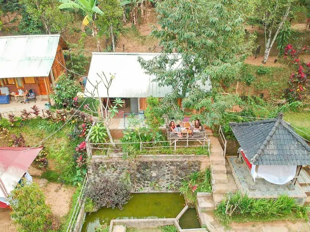 Buda's Homestay Lemukih — фото 1