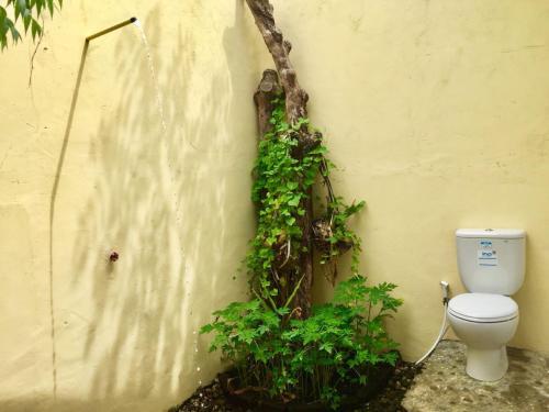 Маумере: Pantai Paris Homestay