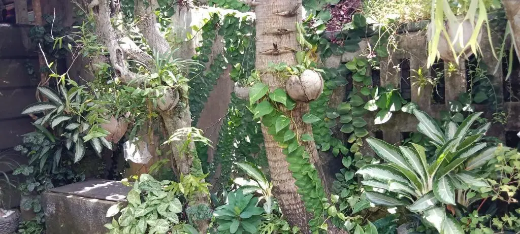 Табанан: Coliving Bali SWEET HOME Kost Lengkap di Tabanan Kota