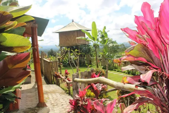 Батурити: Bali Tree House Pelangi