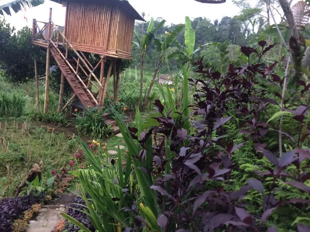 Батурити: Bali Tree House Pelangi