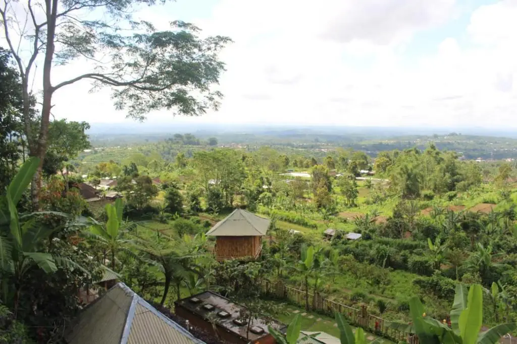 Батурити: Bali Tree House Pelangi