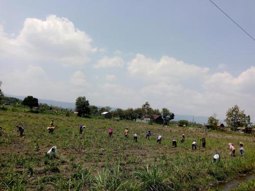 Батуретно: Pendopo Kayuwanan Syariah