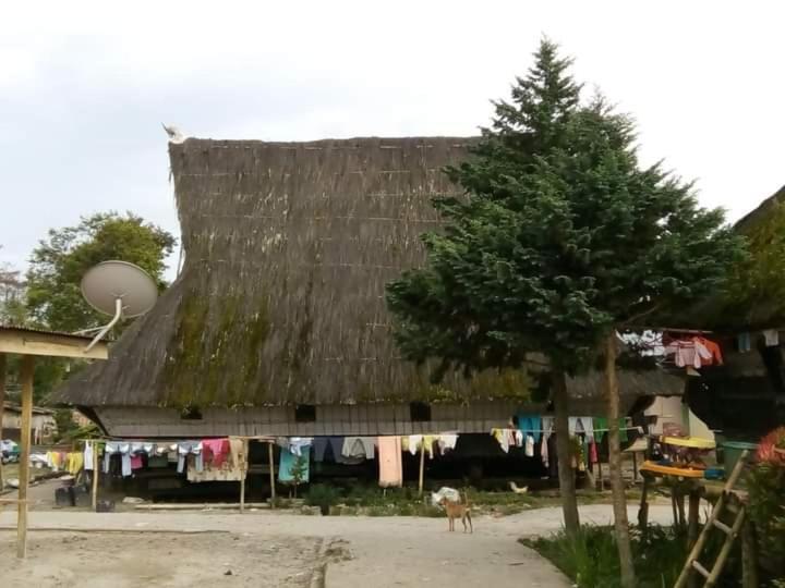 Берастаги: Berastagi Mountain View Homestay & Pizzeria