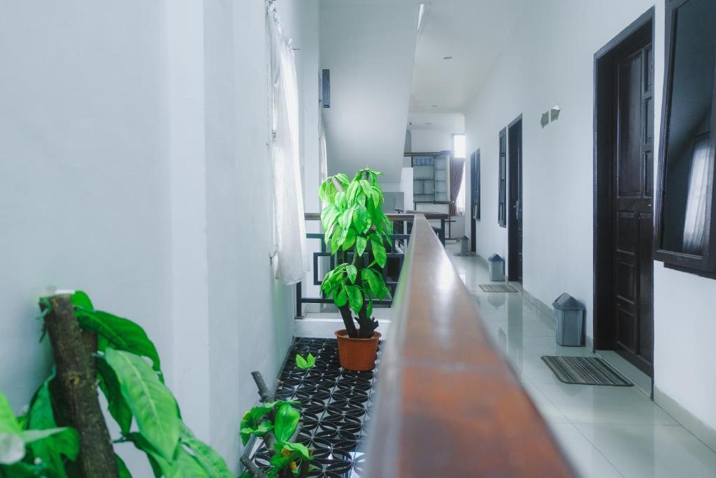 Макассар: Lia Homestay Syariah Pettarani Makassar