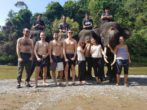 Готонг Ройонг: Batu Kapal Guest House & Jungle trekking