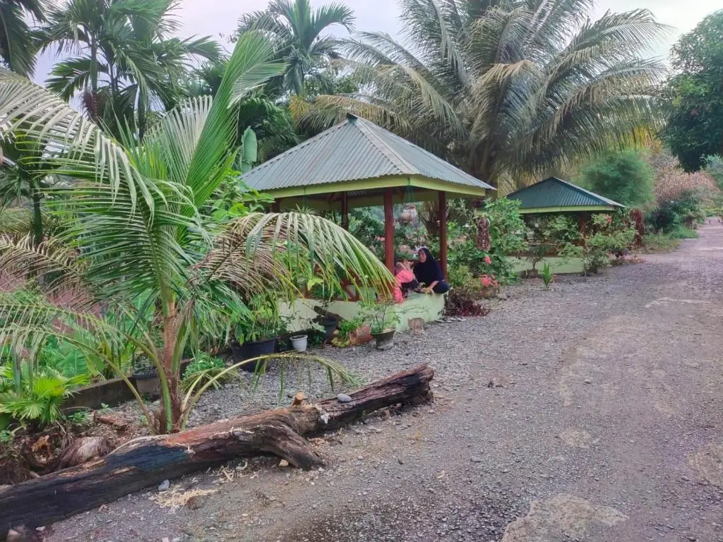 Букит Лаванг: Jungle View Homestay Bukit Lawang