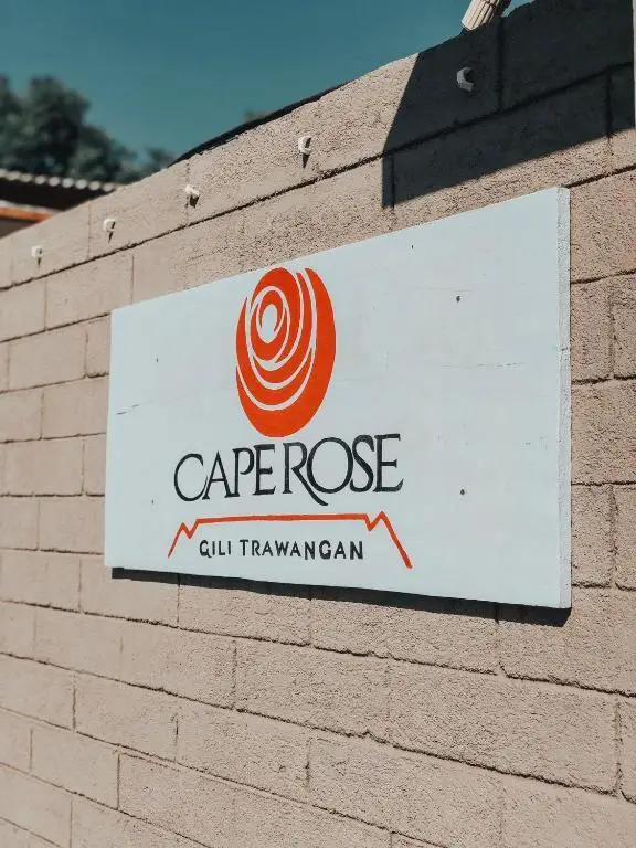Гили Траванган: Cape Rose2