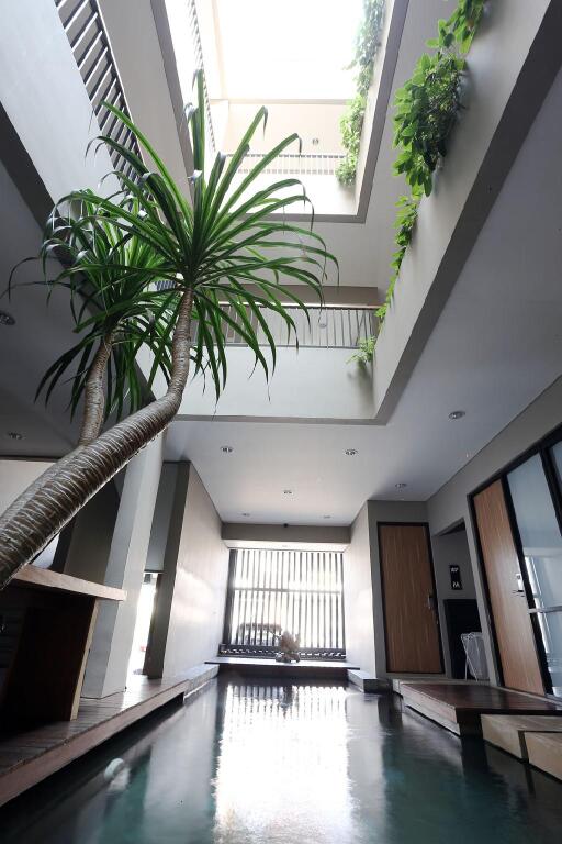 Куруг: M Suite Karawaci