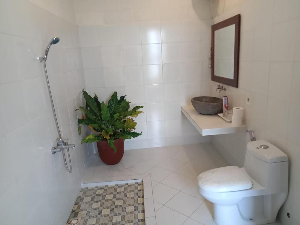 Слеман: Rosella Cottage - Homestay - Kitchen Yogyakarta