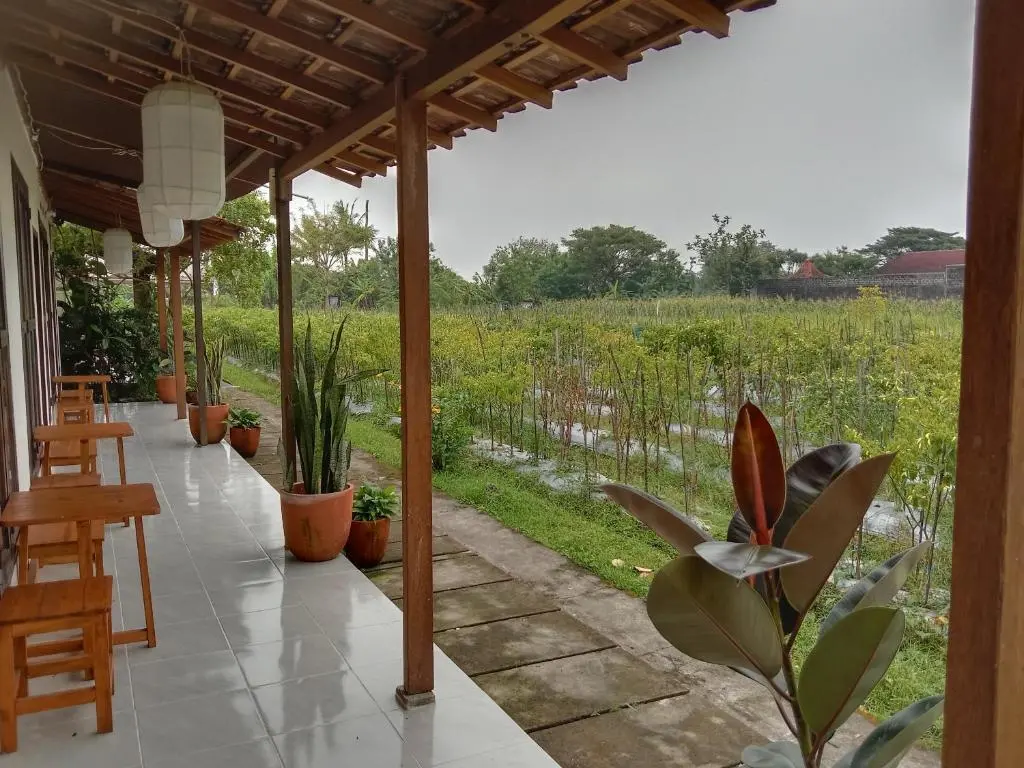 Слеман: Rosella Cottage - Homestay - Kitchen Yogyakarta