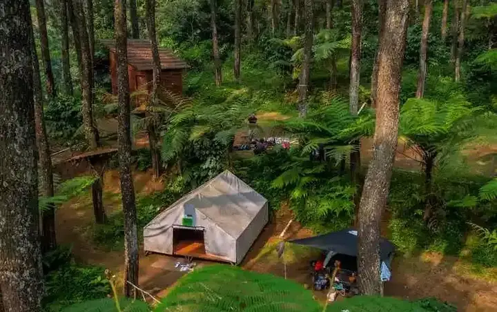 Сизаруа: Kampung Rimba by Anrha