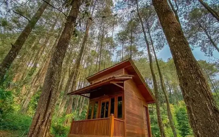 Сизаруа: Kampung Rimba by Anrha