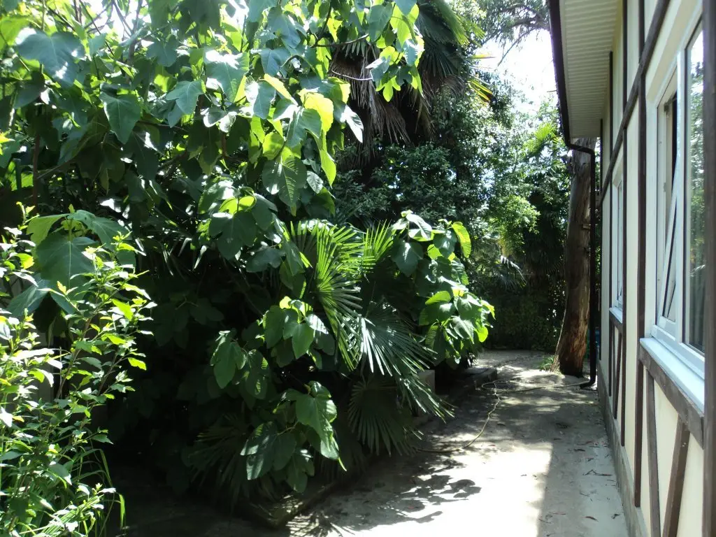 Сочи: Uiut Guest House