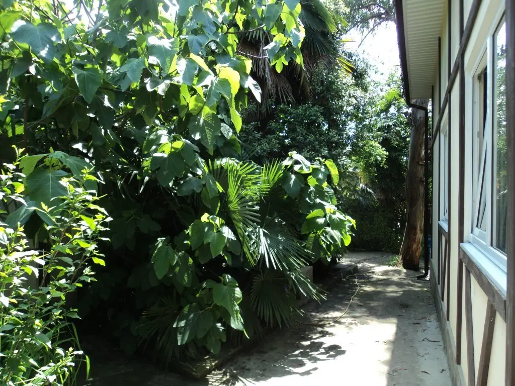 Сочи: Uiut Guest House