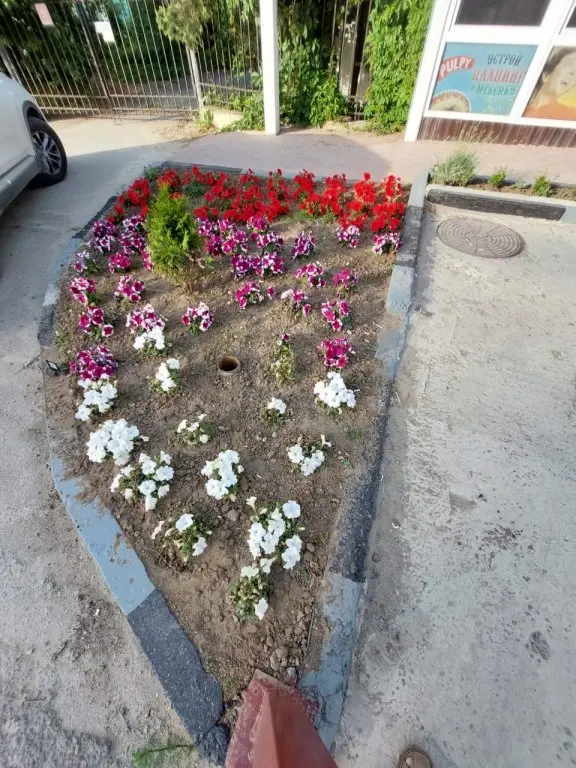Витязево: Гостевой дом Александр Великий