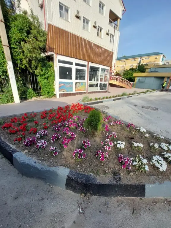 Витязево: Гостевой дом Александр Великий