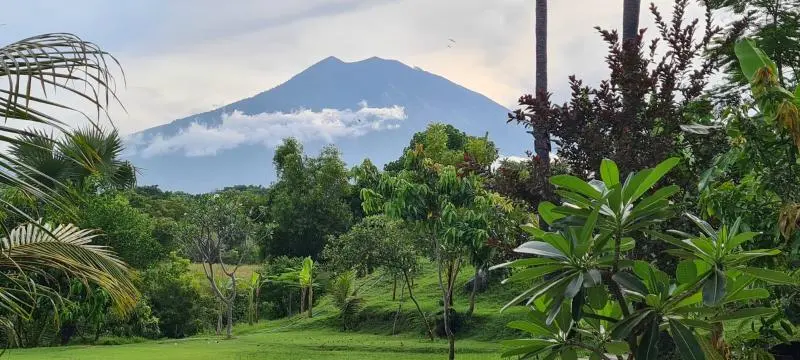 Туламбен: Palm Springs Bali Dive Resorts