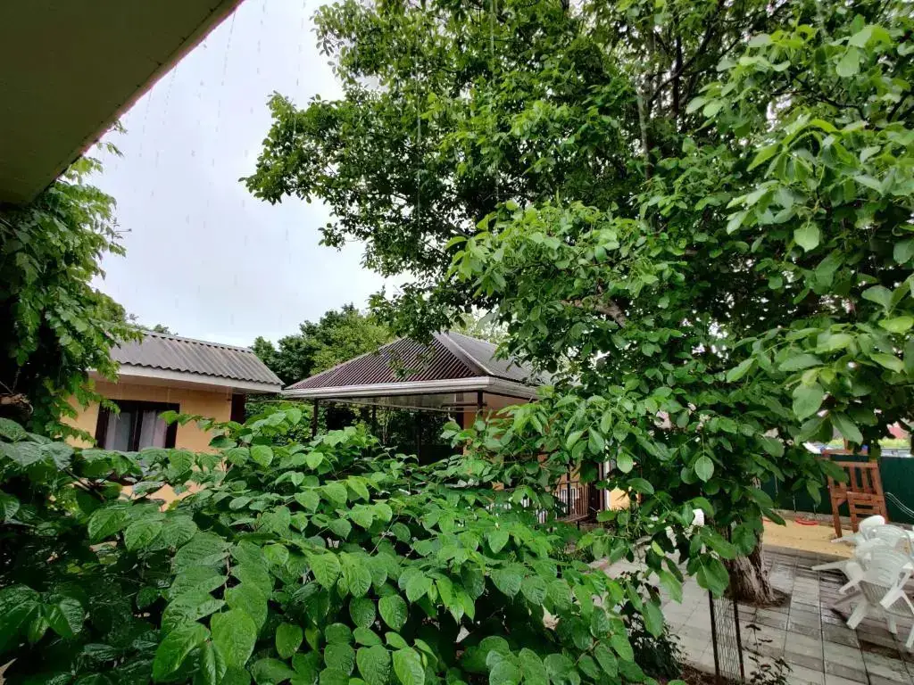 Кучугуры: Guest house Asteriya