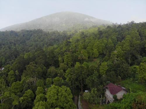 Тернате: Muara Inn ternate