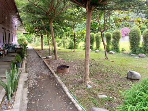 Букит Лаванг: Jungle Tribe Guesthouse