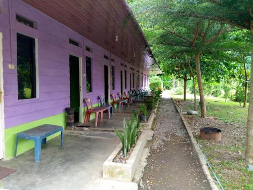 Букит Лаванг: Jungle Tribe Guesthouse