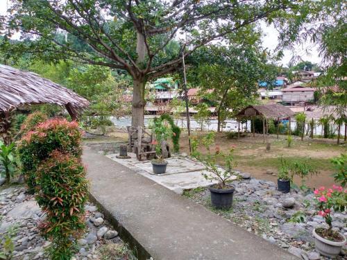 Букит Лаванг: Jungle Tribe Guesthouse