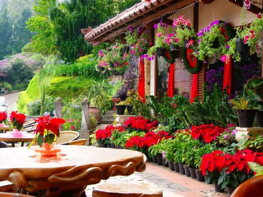 Чипанас: Talita Resort Ciloto Puncak