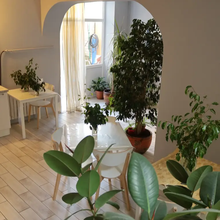 Анапа: Гостевой дом Elpida-hotel