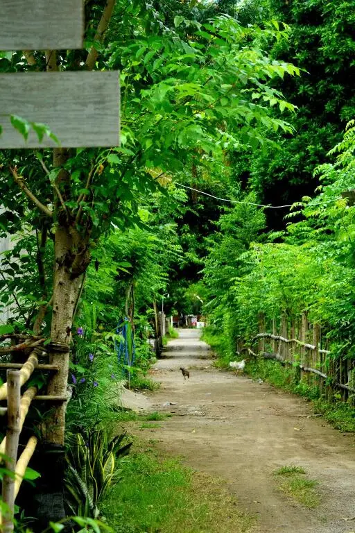 Мангсит: Sammy Cottage Senggigi
