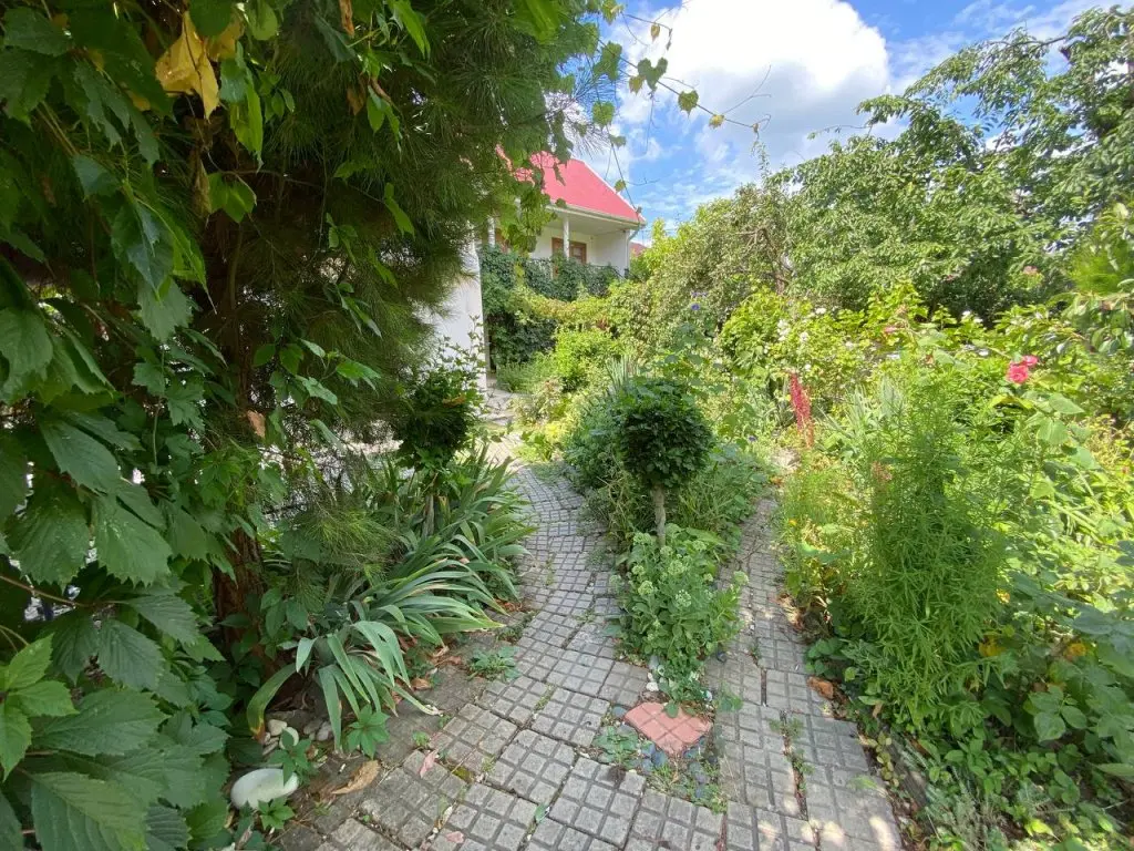 Кабардинка: Гостевой дом Guest House Green Oasis +