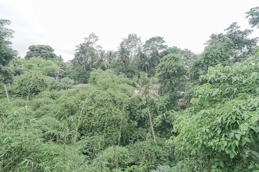 Giri Krisna Guest House — фото 1