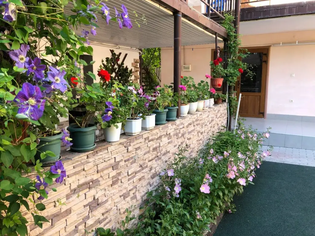 Геленджик: Elena Guest House