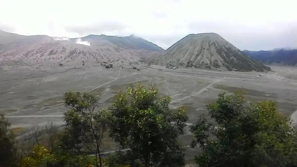 Надисари: Mentigen Homestay Bromo