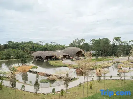 Петумбак: The Hill Hotel & Resort Sibolangit Powered by Archipelago