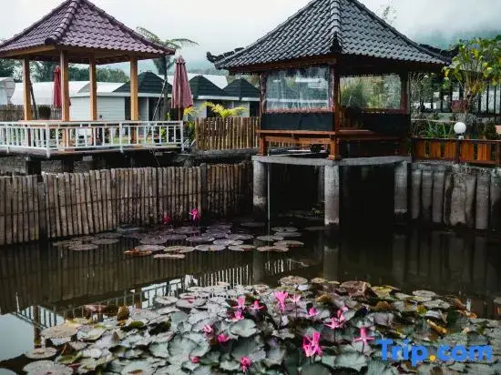 Батурити: The Polumb Garden Bedugul