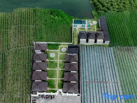 Кинтамани: D Sila’s Tepi Danu Villas Kintamani & Natural hot spring