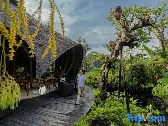 Убуд: E Sanctuary Resort Ubud