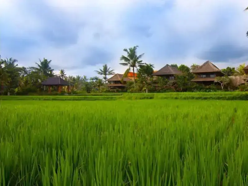 Убуд: Agung Raka Villa