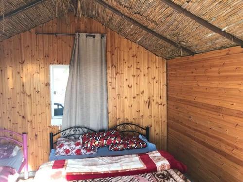 Mount Birgish Eco Camp — фото 1