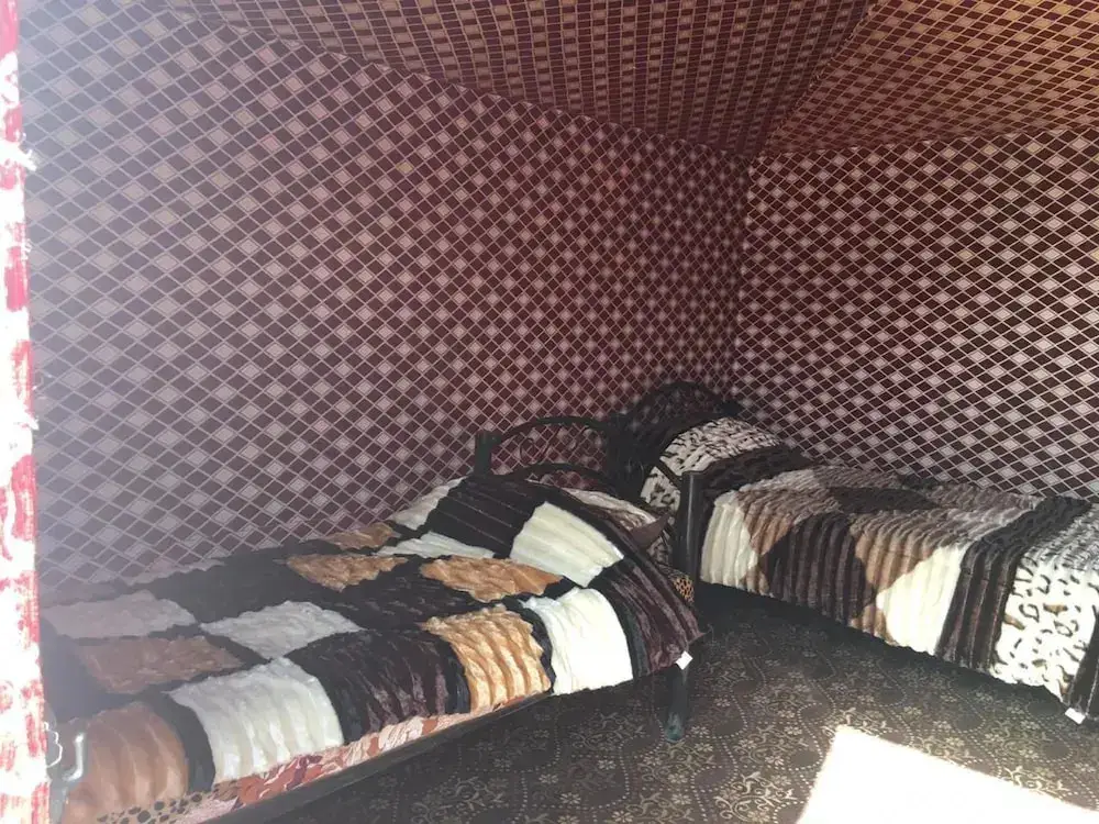 Wadi rum open view camp — фото 1