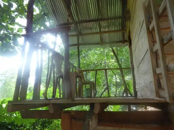 Хабарана: Angry Birds Tree house